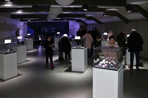 Jedinstvena Noć muzeja u Lepoglavi spaja prirodnu baštinu i likovno stvaralaštvo