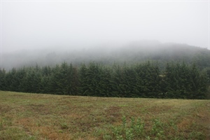 Ni u nedjelju ništa od sunca, meteoropati bi mogli biti neraspoloženi i bez energije – opustite se i odmarajte!