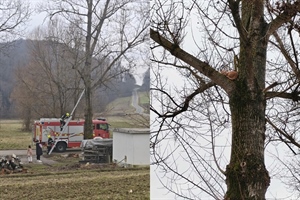 Nesvakidašnja intervencija vatrogasaca: U Staroj Vesi Petrovskoj s drveta spasili mačku