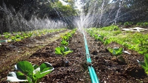 Revitalizacija sustava navodnjavanja "Međimurje – Kuršanec": Županija poziva poljoprivrednike da iskažu interes