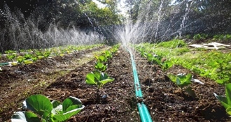 Revitalizacija sustava navodnjavanja "Međimurje – Kuršanec": Županija poziva poljoprivrednike da iskažu interes