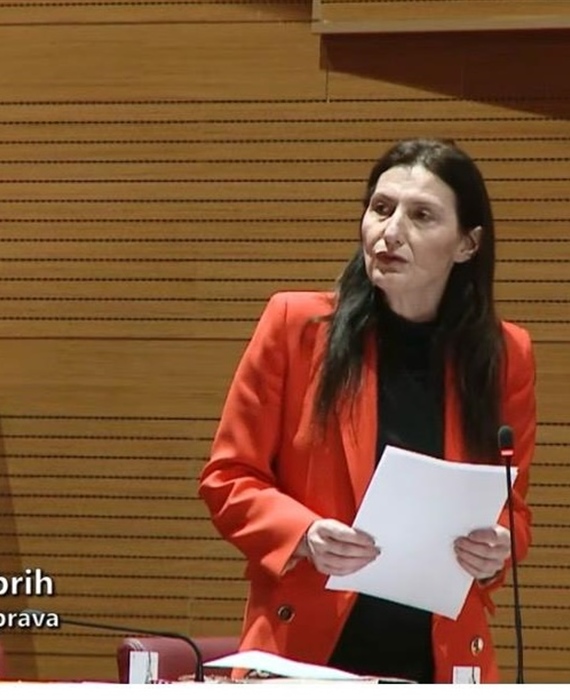Ljubica Jembrih u Saboru: "Djeca s teškoćama ne smiju biti predmet dnevnopolitičkih prijepora"