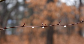 Oblačno s kišom i jugom: biometeorološki nepovoljno