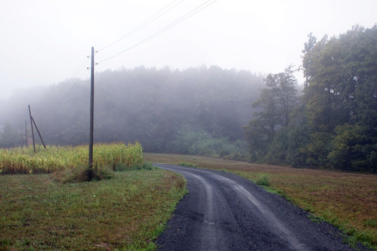 Sivilo i povremena kiša - vrijeme danas neće biti naklonjeno meteoropatima