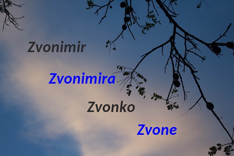 Danas imendan slave naši najglasniji slavljenici: Zvonimir, Zvonimira, Zvonko, Zvone....