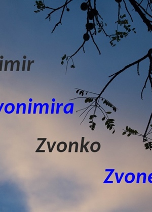 Danas imendan slave naši najglasniji slavljenici: Zvonimir, Zvonimira, Zvonko, Zvone....