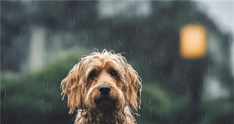 Stiže kiša i jako jugo: Promjenjivo, ali i dalje razmjerno toplo