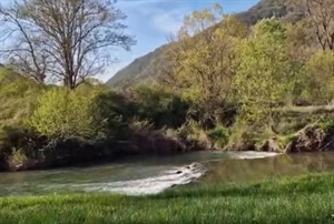 JU Zagorje zeleno: Predstavljanje rezultata istraživanja „Mala rijeka, veliki svijet: ribe i školjkaši rijeke Sutle“