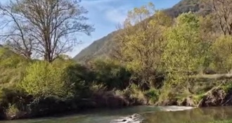 JU Zagorje zeleno: Predstavljanje rezultata istraživanja „Mala rijeka, veliki svijet: ribe i školjkaši rijeke Sutle“