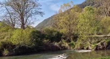 JU Zagorje zeleno: Predstavljanje rezultata istraživanja „Mala rijeka, veliki svijet: ribe i školjkaši rijeke Sutle“