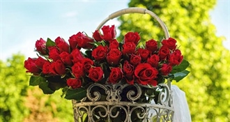 Za Valentinovo darujemo cvijeće, evo koje ima značenje – nemojte pogriješiti u odabiru