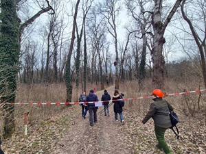 Krenuli radovi na revitalizaciji Dravske park šume: Europska sredstva za očuvanje prirodne baštine Varaždina