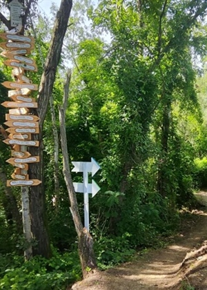 Stariji ste od 35 godina? Onda je utrka „Povratak otpisanih” u Malom Bukovcu baš za vas!