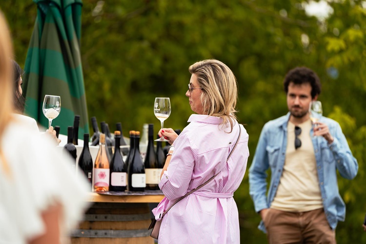 Vino i vinogradarstvo glavne teme stručnog skupa „Kultura vina u varaždinskom kraju"