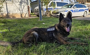 'Presudio' mu policijski pas: ''Gana'' na A1, 27-godišnjaku u kombiju pronašla kokain