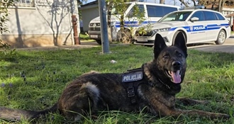 'Presudio' mu policijski pas: ''Gana'' na A1, 27-godišnjaku u kombiju pronašla kokain