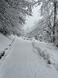 Snijeg stvara probleme na prometnicama u općini Jesenje: U Brdu Jesenskom zapusi i do jednog metra, na ceste palo i drveće