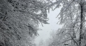 Snijeg stvara probleme na prometnicama u općini Jesenje: U Brdu Jesenskom zapusi i do jednog metra, na ceste palo i drveće