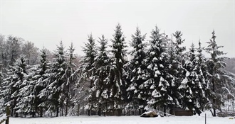 Danas nas očekuje promjenjivo i hladno vrijeme, mjestimice snijeg i mogućnost slabih oborina