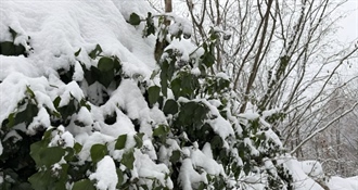 Apel Varaždinske županije zbog snijega, angažirane sve raspoložive snage