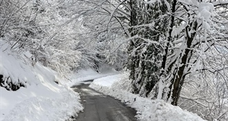 Nakon više od 25 cm snijega, jutros zatvorene pojedine dionice u Jesenju, a dio naselja nema struje