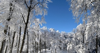 Hladno jutro uz moguću maglu, danju do 13 stupnjeva