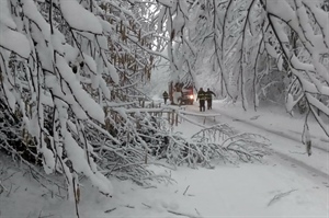Od požara automobila do spašavanja u prometu - vatrogasci DVD-a Novi Marof neumorni na terenu