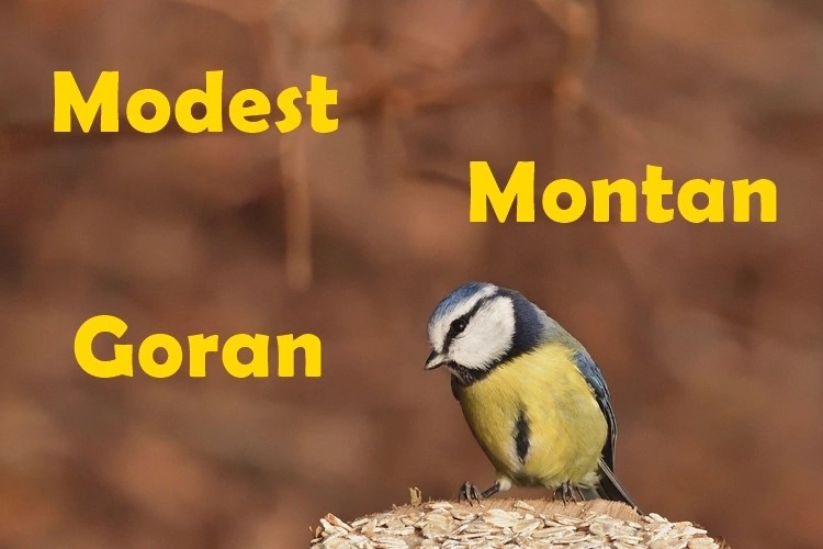 SRETAN IMENDAN Današnji slavljenici su Goran, Modest i Montan
