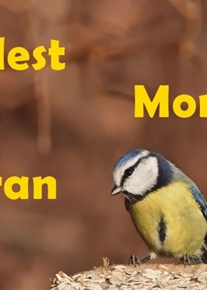 SRETAN IMENDAN Današnji slavljenici su Goran, Modest i Montan