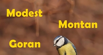 SRETAN IMENDAN Današnji slavljenici su Goran, Modest i Montan