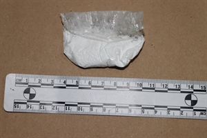 U Zagrebu u stanu pakirao i preprodavao više vrsta droga – uhićen je