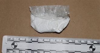 U Zagrebu u stanu pakirao i preprodavao više vrsta droga – uhićen je