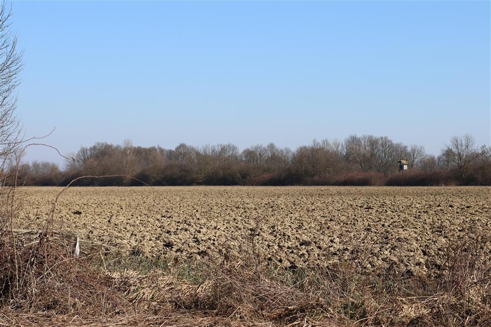 Iz Grada Ludbrega poručuju: Vrijeme je za odgovorne odluke i razvoj Apatije, izgradnja farme peradi je zakonita