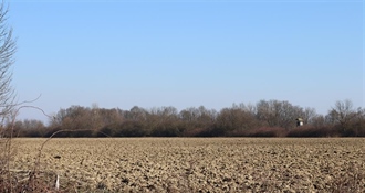 Iz Grada Ludbrega poručuju: Vrijeme je za odgovorne odluke i razvoj Apatije, izgradnja farme peradi je zakonita