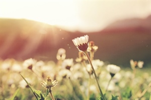 Danas još jedan lijep i sunčan dan uz ugodne temperature