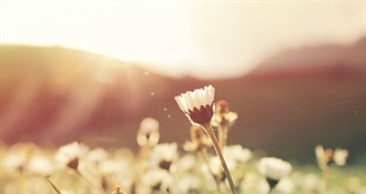 Danas još jedan lijep i sunčan dan uz ugodne temperature