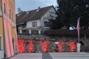 Međunarodni je dan rijetkih bolesti - Grad Varaždinske Toplice pružio podršku najranjivijima