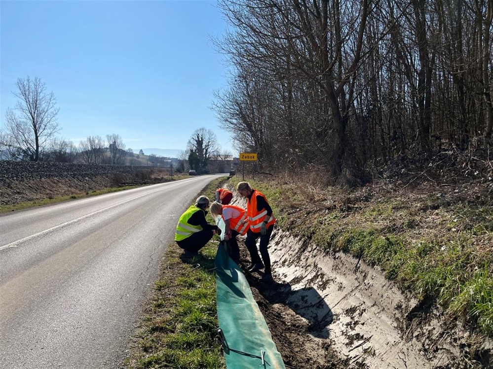 JU Zagorje zeleno: Pazi žaba – Na cesti niste sami, na cesti smo i mi životinje