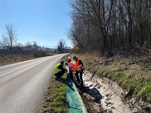 JU Zagorje zeleno: Pazi žaba – Na cesti niste sami, na cesti smo i mi životinje