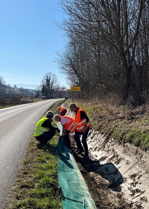 JU Zagorje zeleno: Pazi žaba – Na cesti niste sami, na cesti smo i mi životinje
