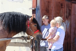Uzgajivači, prijavite se: U travnju izložba stoke i konja u Svetom Križu Začretju