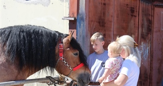 Uzgajivači, prijavite se: U travnju izložba stoke i konja u Svetom Križu Začretju