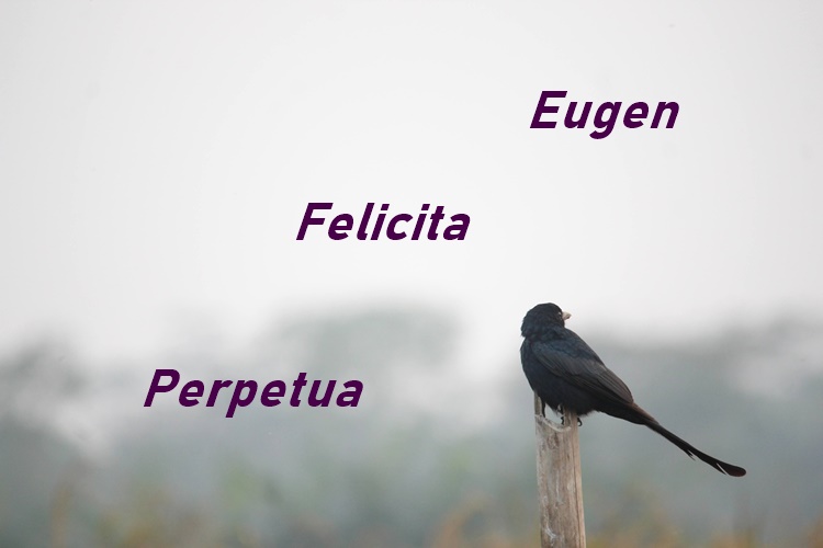 SRETAN IMENDAN! Danas je njihov dan