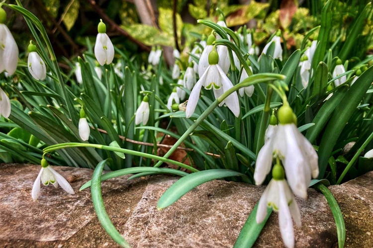 Uživajte u nedjelji – lijepo i sunčano vrijeme sigurno će vas izmamiti na boravak na otvorenom