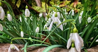 Uživajte u nedjelji – lijepo i sunčano vrijeme sigurno će vas izmamiti na boravak na otvorenom