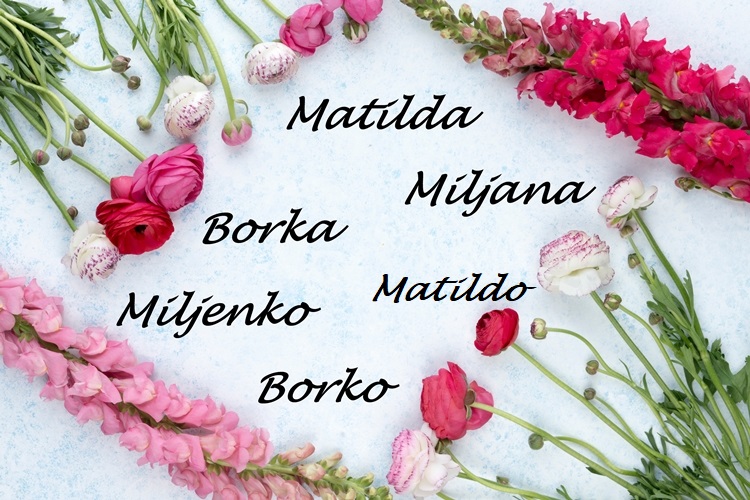 Sretan im imendan - danas slave Borka, Miljenko i Matilda