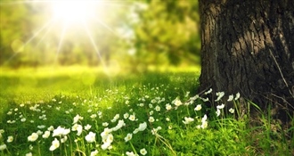 Sunčano i ugodno vrijeme uz temperature do 20 stupnjeva u većem dijelu zemlje