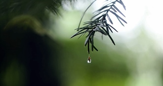 Danas nas očekuje promjenjivo i hladnije vrijeme uz kišu