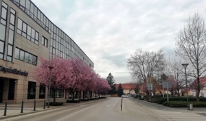 Danas u prvom dijelu dana većinom sunčano, poslijepodne u unutrašnjosti moguća koja kap kiše