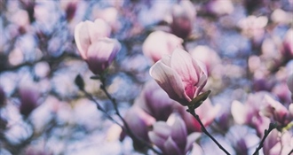 Stiglo je proljeće – vrijeme novih početaka i buđenja prirode